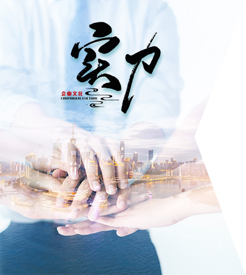 公司實(shí)力